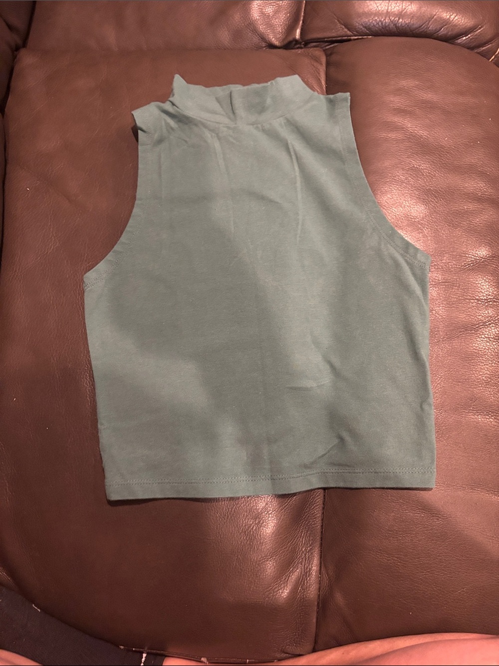 wild fable Sleeveless Mock Neck Crop Top - Sage
